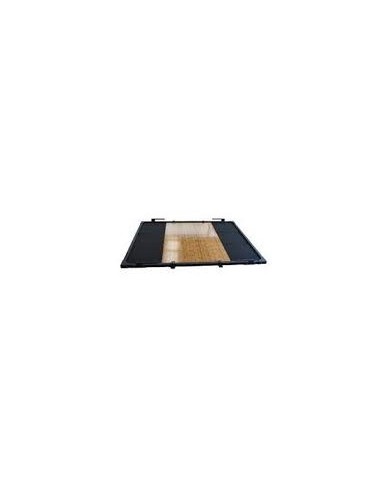 Plataforma Halterofilia Profesional