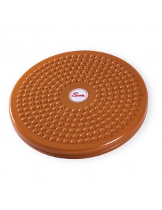 Disco Twister Pvc (Diametro 25,4 cms)