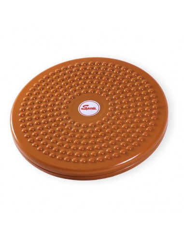 Disco Twister Pvc (Diametro 25,4 cms)