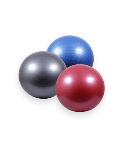 Fitball 55 cms