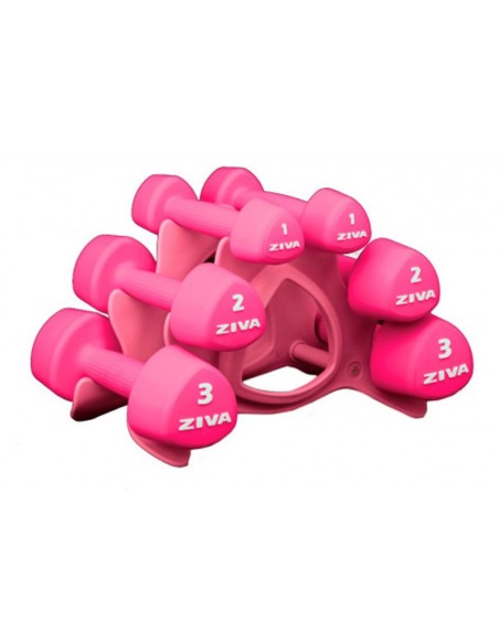 ZIVA Chic Mancuerna Studio Rosa 12 kg Set (Pares 1, 2, 3 kg) con soporte