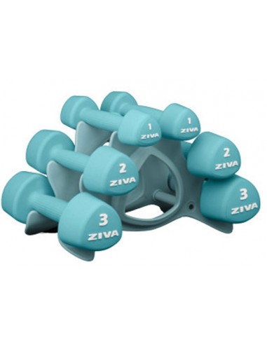 ZIVA Chic Mancuerna Studio Turquesa 12 kg Set...