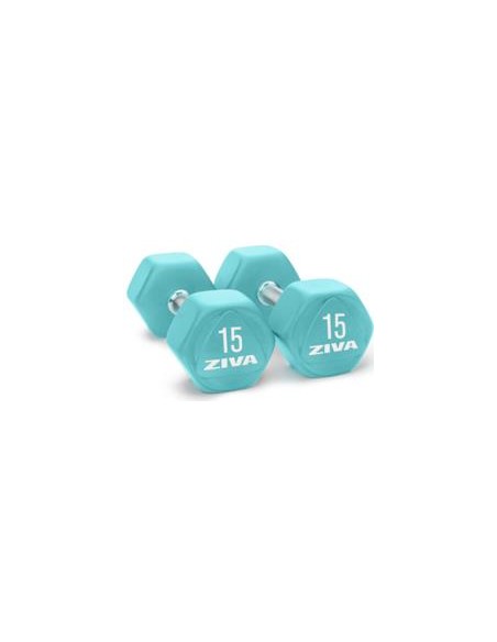 ZIVA Chic Hexagon Steel Dumbbell 12,5 kg (Par)