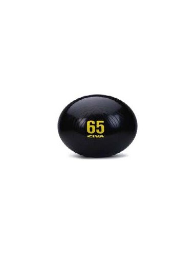 Core-Fit Ball Anti-Burst ZIVA ZVO 65 cm