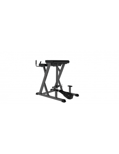Impulse - Hiperextension Inversa Gama IFP de...