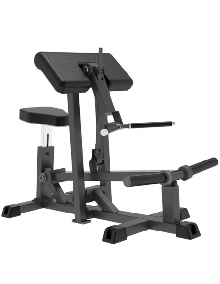 Impulse - Biceps CurlGama IFP de Carga de Discos