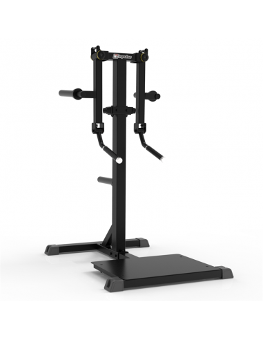 Impulse - Elevacion Lateral de Pie (Standing Lateral Raise)Gama IFP de Carga de Discos