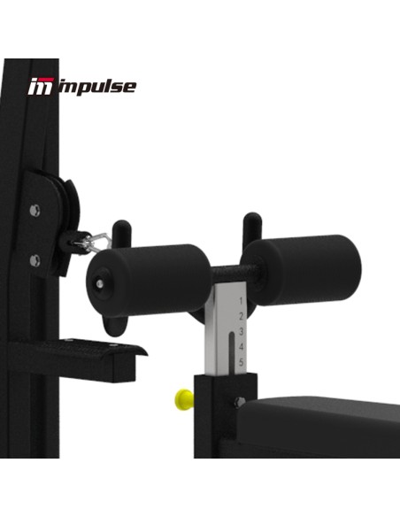 Impulse - Remo bajo/Polea alta (Lat pulldown/Vertical row) - Gama IF93 Selectorizada
