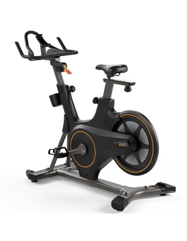 Bicicleta Ciclo Indoor ICR50 Limited Edition -...