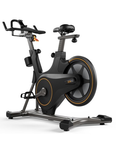 Bicicleta Ciclo Indoor ICR50 Limited Edition -...