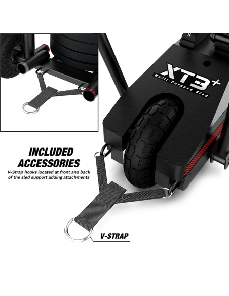 XT3 Trineo Xebex