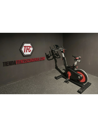 life fitness IC5 Indoor Cycle - OCASIÓN
